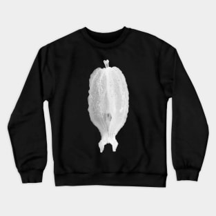 Bleached anise (Pimpinella anisum) seed under the microscope Crewneck Sweatshirt